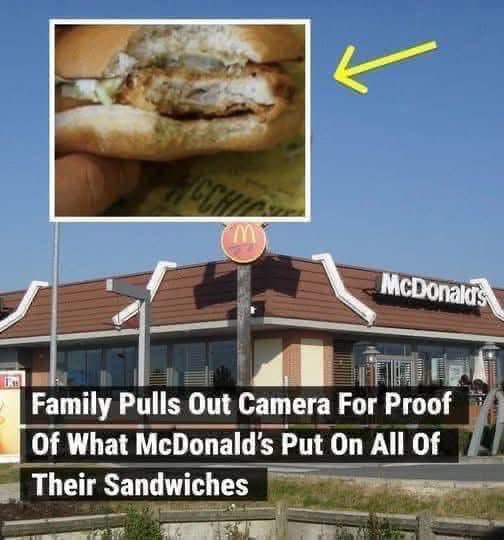 Family Pulls Out Camera For Proof Of What McDonalds Put On All Of Their Sandwiches