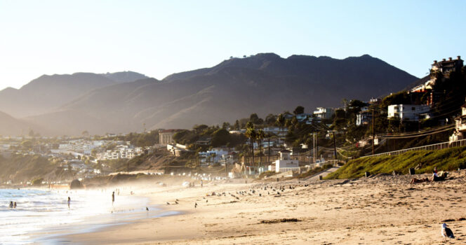 ‘Horrifyingly goofy’ creature washes onto Southern California beach