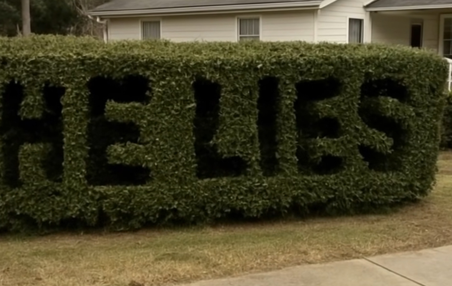 He Lies” Was Carved Into My Hedge—What I Discovered Next Shattered Me
