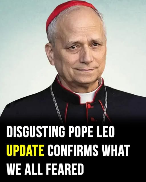 Woke Pope Leo XIV slammed by MAGA supporters