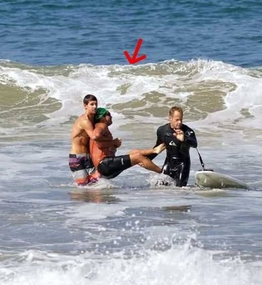 Sad News, Iconic Actor Dies in Tragic Shark Attack