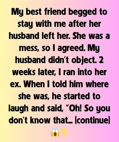MY BEST FRIEND MOVED IN AFTER HER DIVORCE, BUT THEN HER EX DROPPED A BOMB ON ME