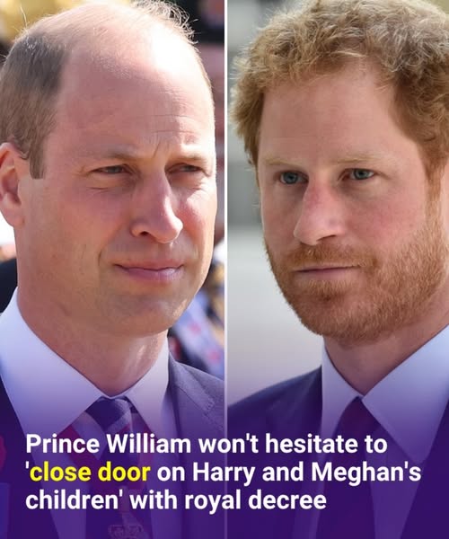 Prince William won’t hesitate to ‘close door on Harry and Meghan’s children’ with royal decree