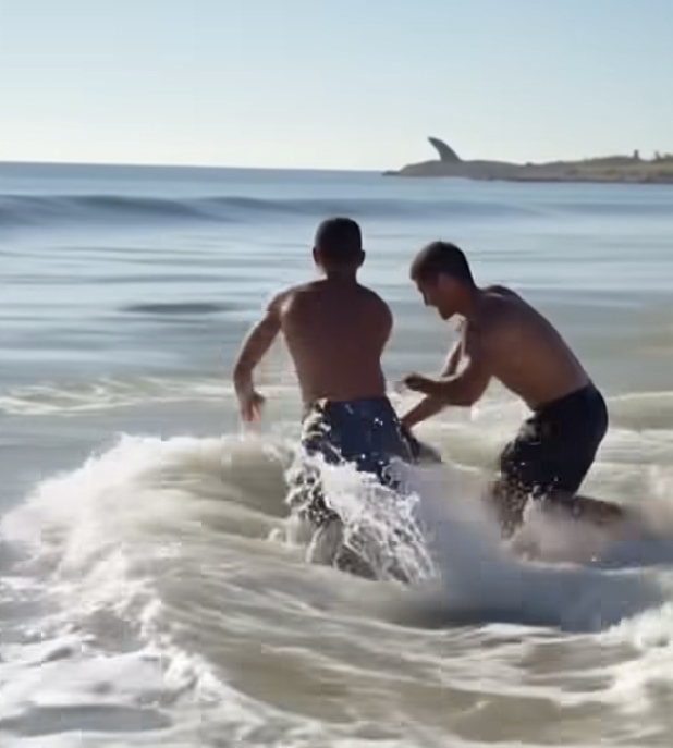 Surfer Fights Off Shark During Competition