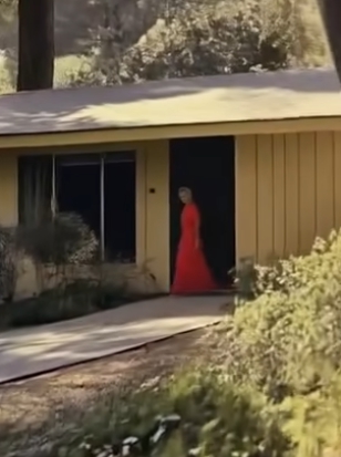 My Wife Disappeared for Hours After Dinner—One Night, I Finally Followed Her and Discovered the Truth”