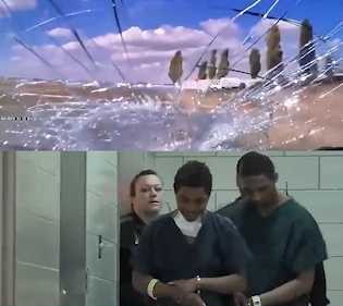 Five teenagers sentenced to life imprisonment for a stone!