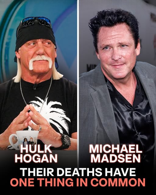 Remembering Five Beloved Stars Who Left a Lasting Legacy