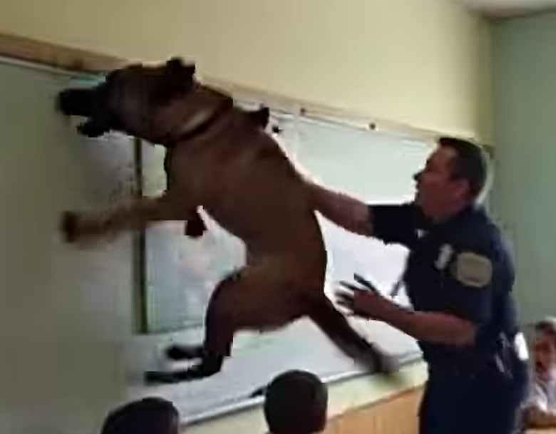 K9 Dog Rips School Painting – What He Uncovered Behind It Changed Everything Forever