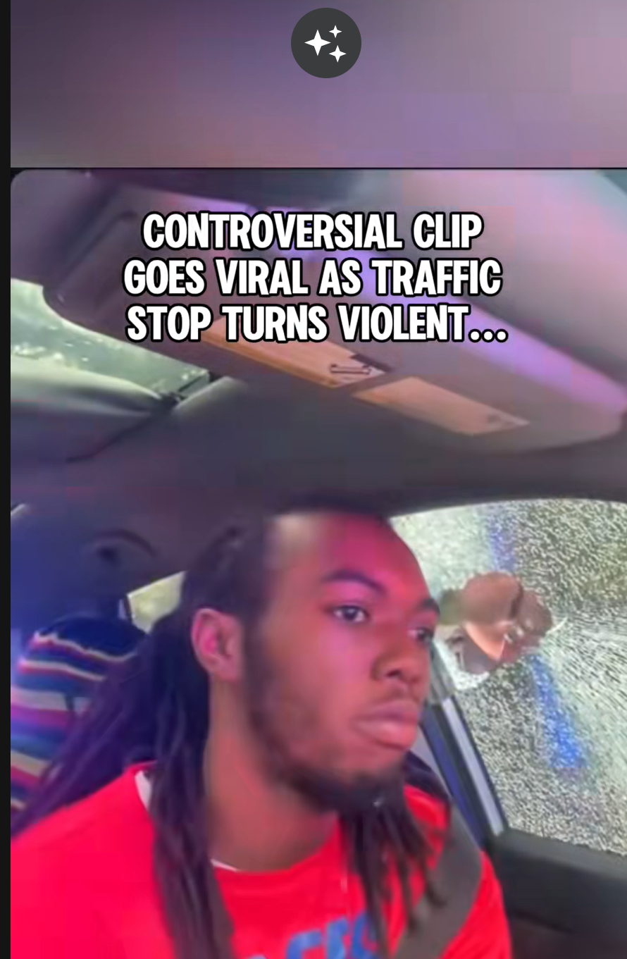  VIRAL TRAFFIC STOP TURNS VIOLENT 