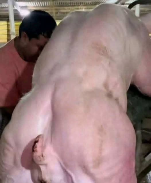 HT2. Young man hospitalized after being penitentiated…See more