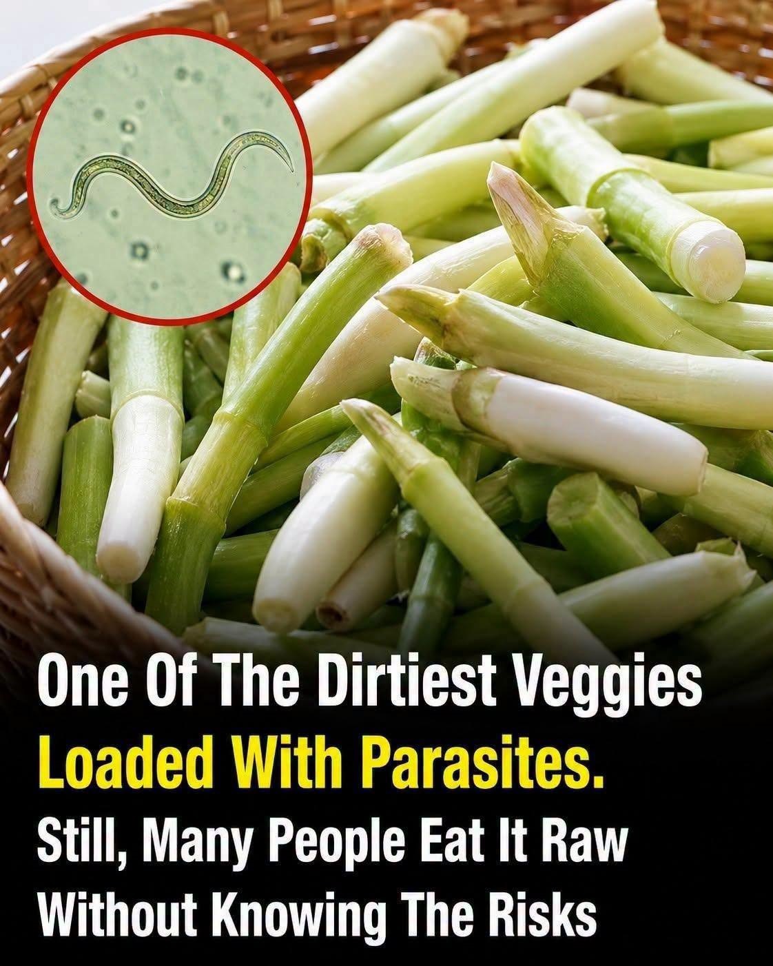 Green Onions and Food Safety: Understanding the Facts About Parasites and Proper Handling
