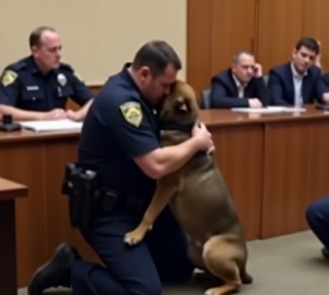 A Soldier’s Tearful Goodbye to His K9 Hero