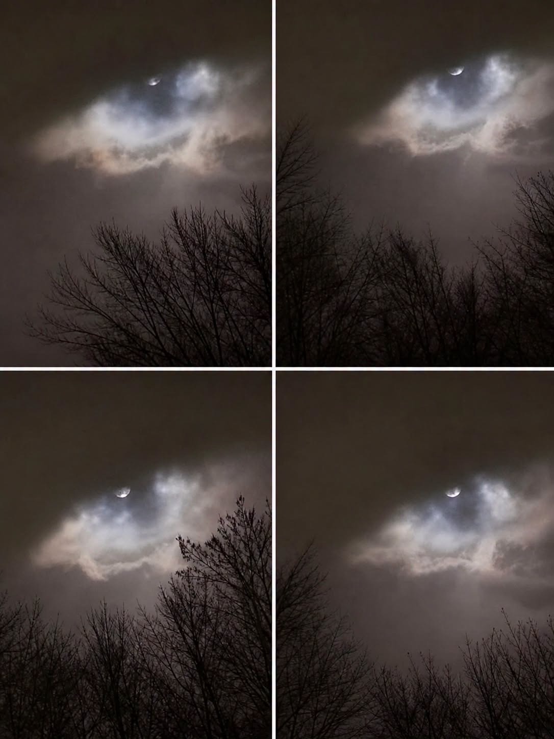 The Unexplained Photo: My Brother Took This 21km From Home, And We Still Can’t Explain It