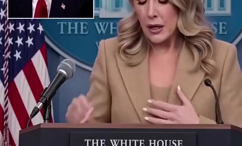 Leavitt Sets Media Straight With Fact Check on Joe Biden
