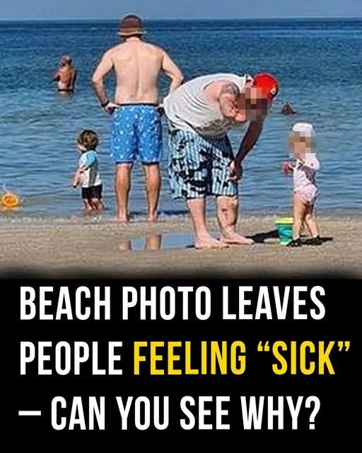 A Day at the Beach That Looked Ordinary at First, but Left Everyone Wondering What Had Happened