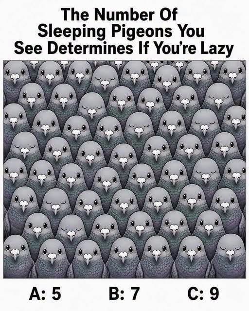 Count the Pigeons First and See What You Notice