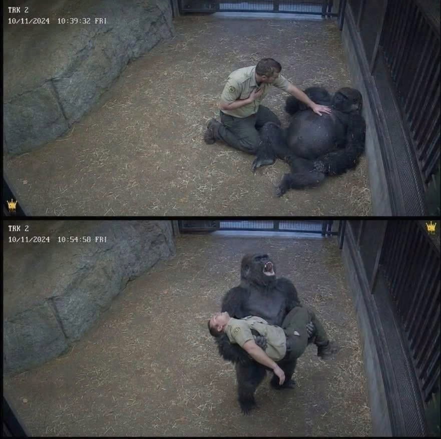 How a Beloved Animal Helped Save His Caretaker’s Life