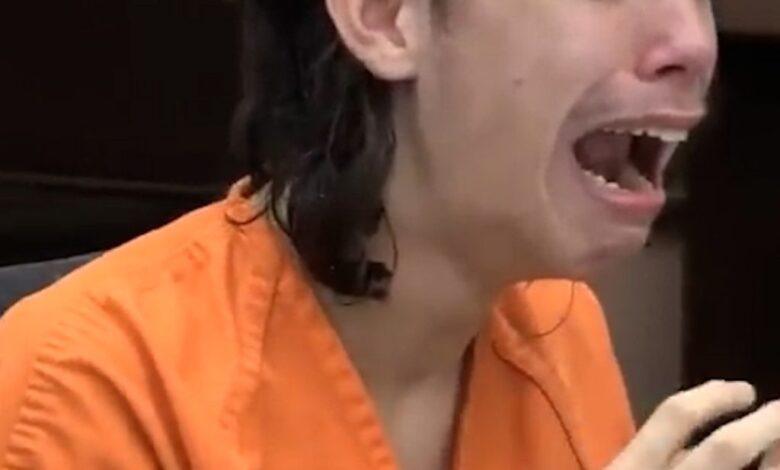 Teen Sentenced to 452 Years in Prison After He Made One Decision That Changed Everything