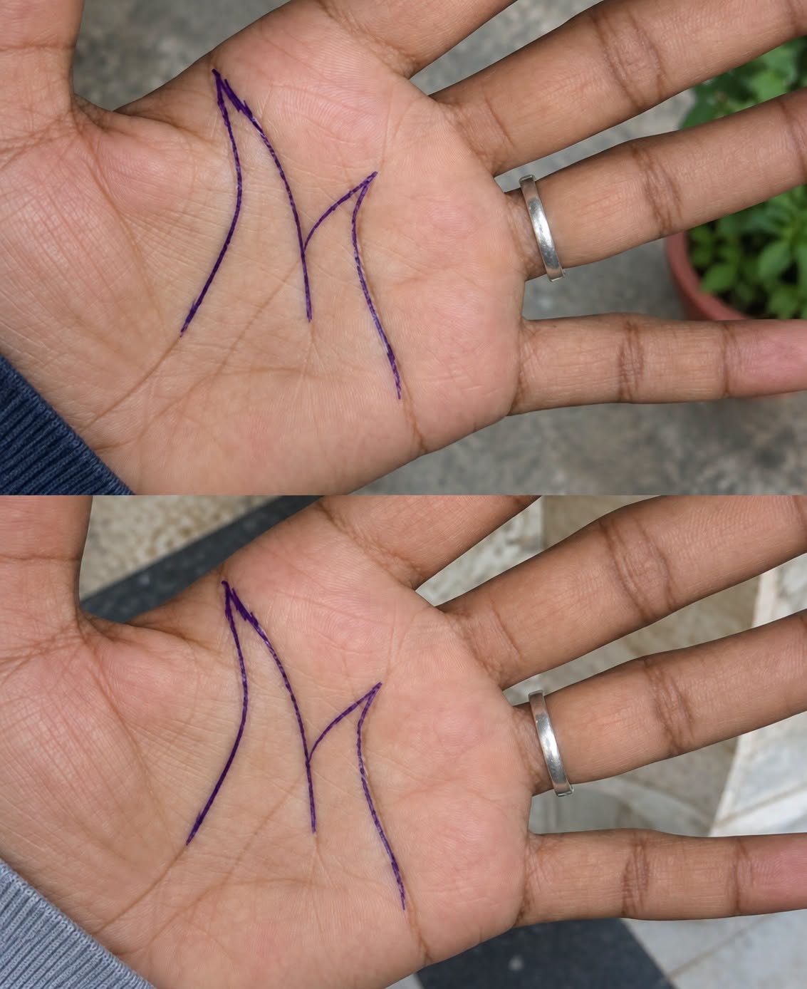 The Mysterious Lines on the Palm: What Could They Mean?