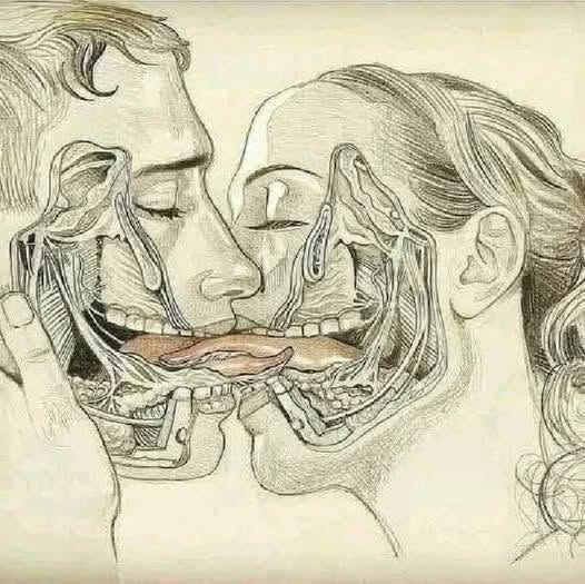 What Really Happens Inside the Body When Two People Kiss?