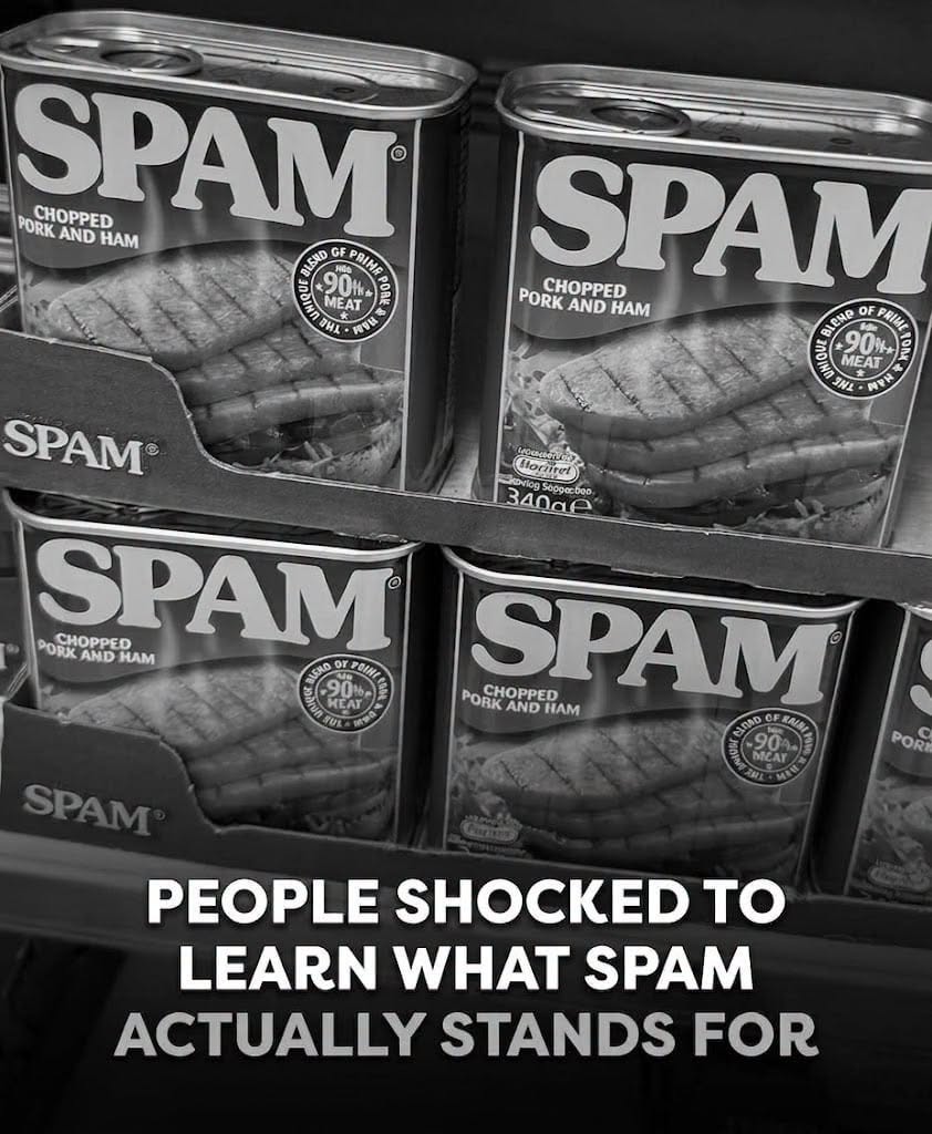 What SPAM Is Really Made Of The 1937 Naming Contest Behind the Iconic Canned Meat