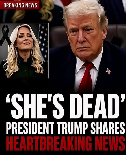 Trump Sounds Off After 39 Shot, Multiple Killed In Blue City.