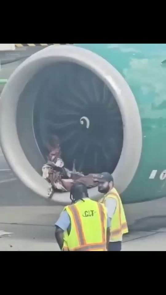 A Powerful Aircraft Engine and the People Responsible for Keeping It Safe