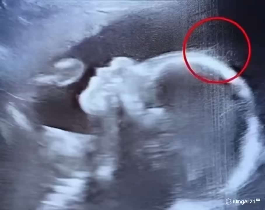 A Beautiful Moment of New Life: The Amazing Journey of Pregnancy and a Baby’s Development