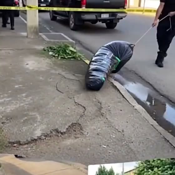 Breaking news: Body found confirmed to be…See more