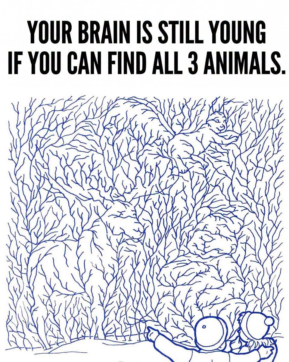 Find All 3 Animals.