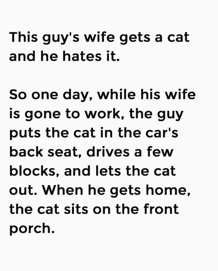 Man Tries To Abandon His Wife’s Cat.